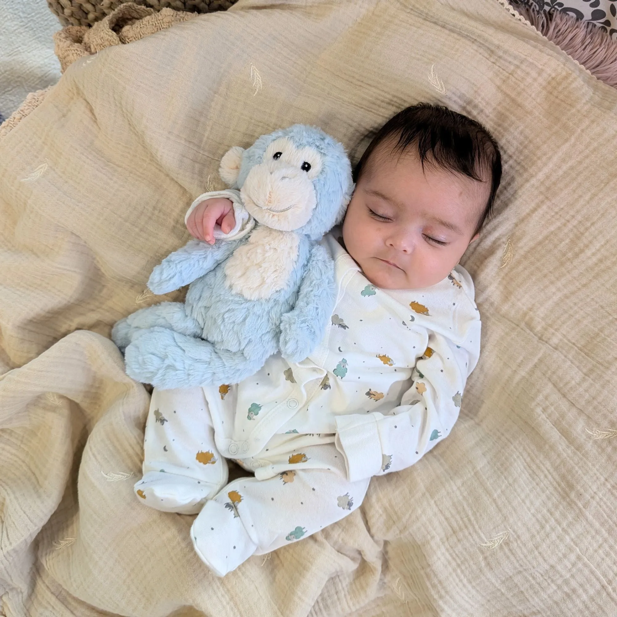 Adorable Monkey Soft Toy 'Putty Nursery' Seafoam Monkey