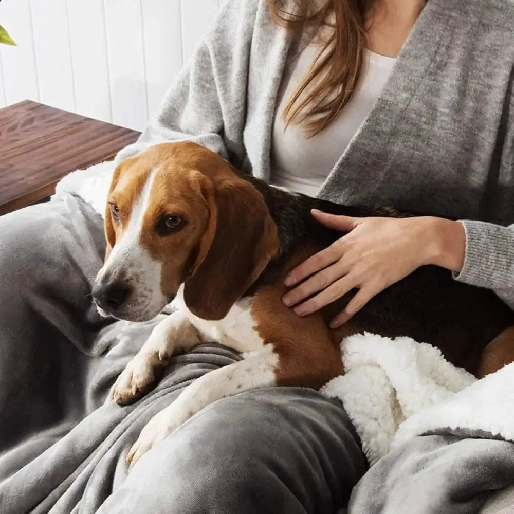 Autumn Winter Fleece Waterproof Pet Bed Mat Cover for Small, Medium, and Big Dog