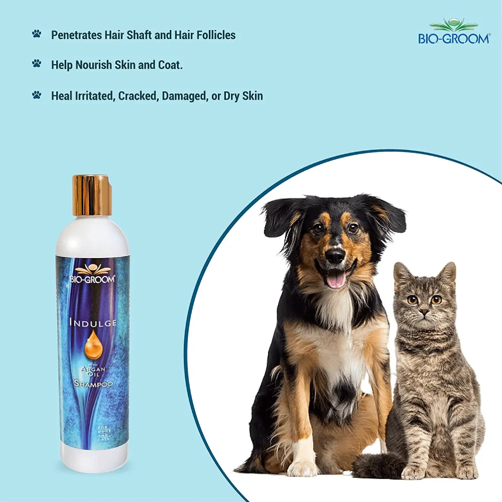 Bio Groom Indulge Sulfate Free Pure Argan Oil Shampoo for Dogs and Cats (Limited Shelf Life)