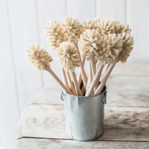 Cup and Vase Brush
