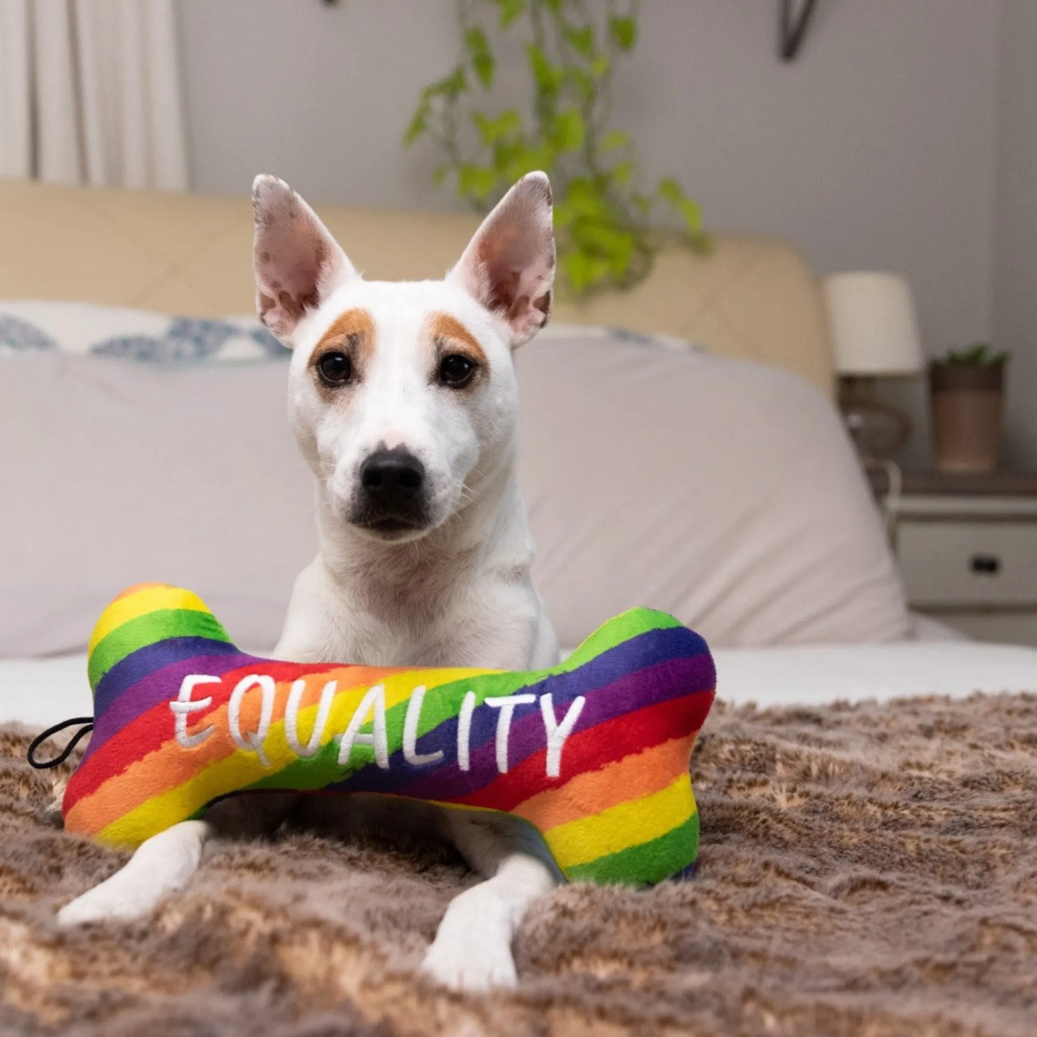 Equality Bone Tough Dog Toy