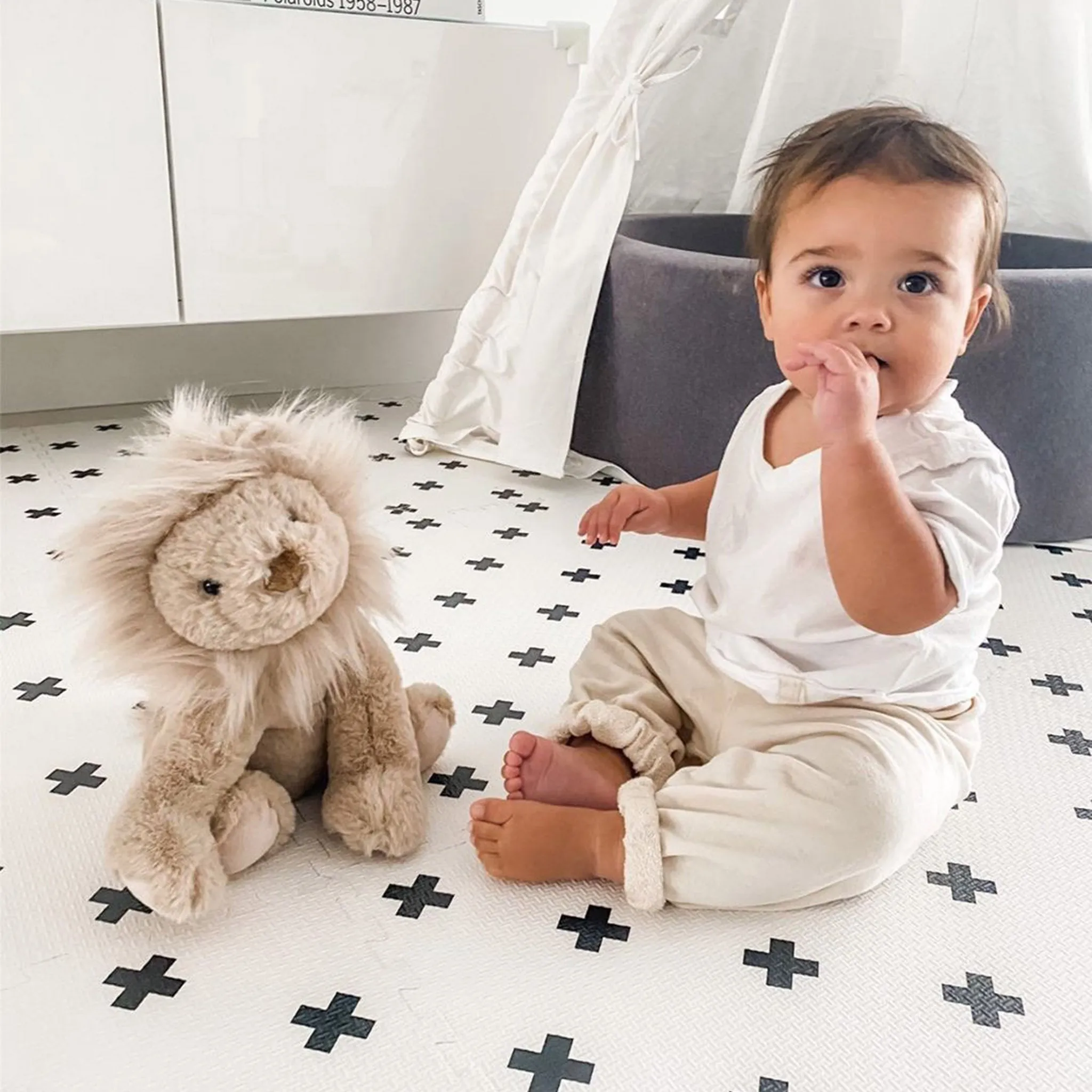 Mon Ami Luca Lion