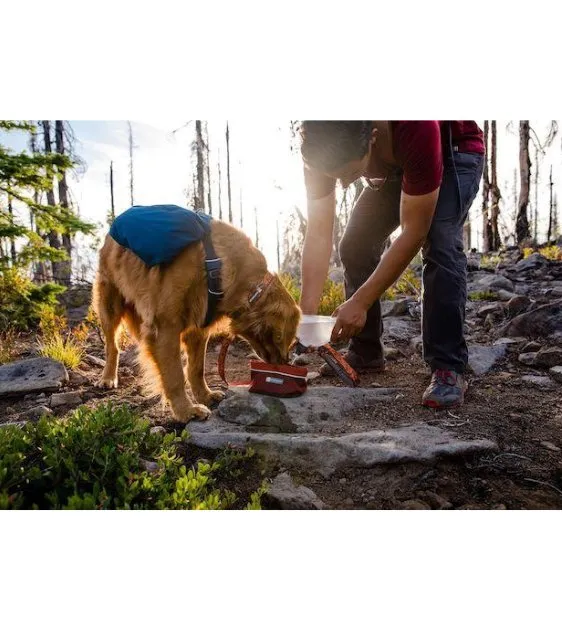 Ruffwear Quencher™ Collapsible Food & Water (Fired Brick) Dog Bowl