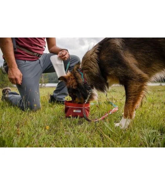 Ruffwear Quencher™ Collapsible Food & Water (Fired Brick) Dog Bowl