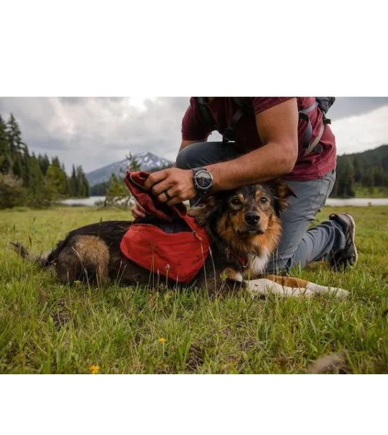 Ruffwear Quencher™ Collapsible Food & Water (Fired Brick) Dog Bowl