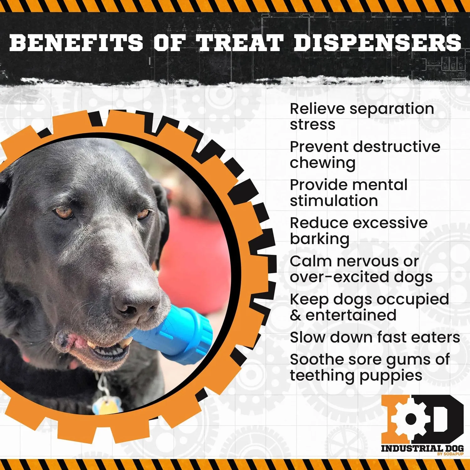 SodaPup ID Bone Rubber Treat Dispenser Toy