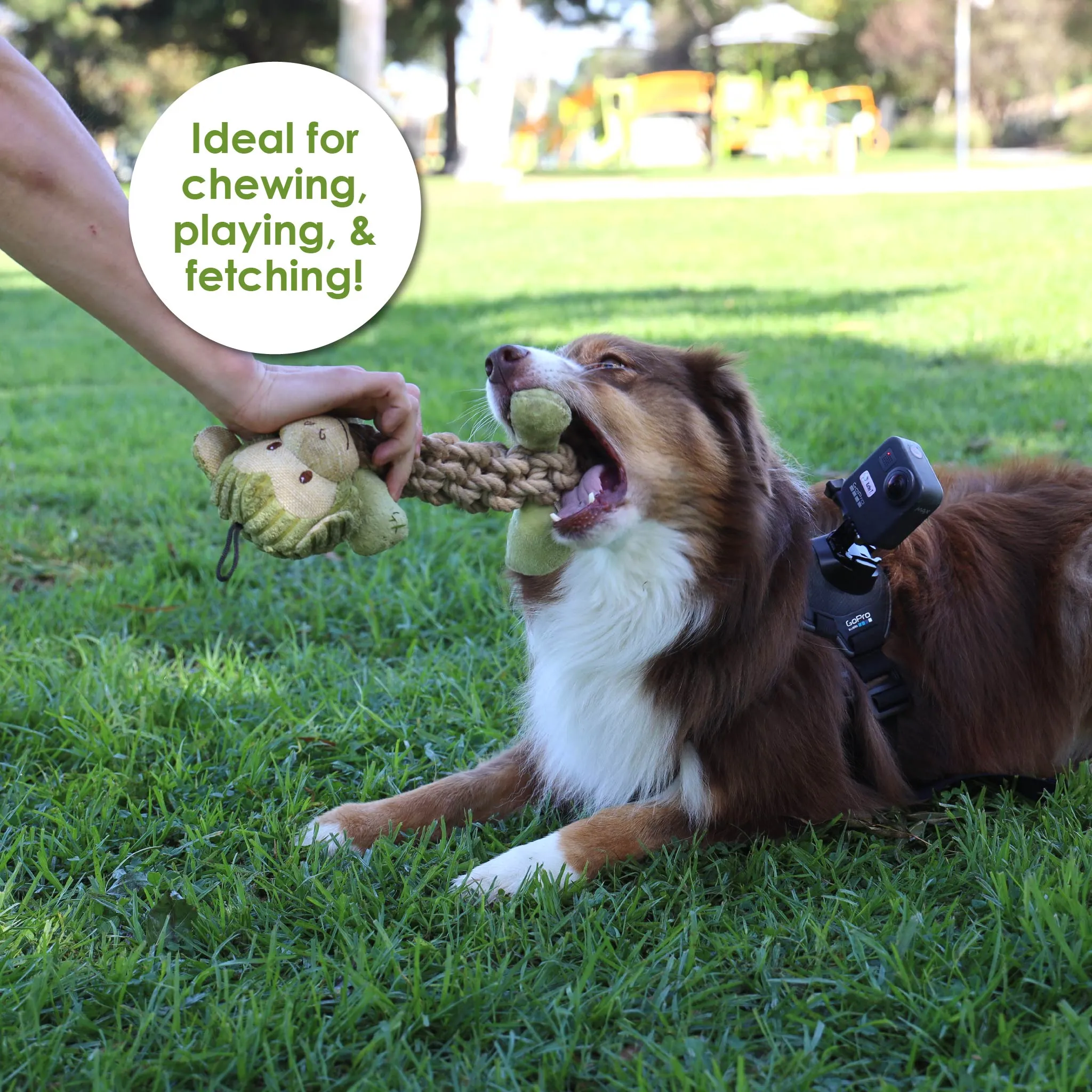 Tough Hemp Monkey Dog Toy, Fun Squeaker, Mentally & Physically Stimulates, Large Hemp Rope Body for Chewing, Tough Hemp for Play & Fetch, Non-Toxic, Cleans Teeth, Variety of Textures, for Pets